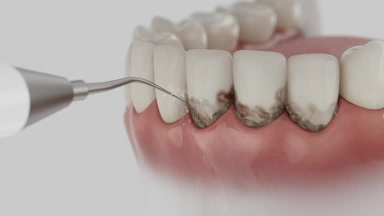 Reliable Teeth Cleaning And Checkup contractor in Charlevoix County County, MI by Dentist Open Now